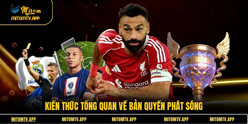 Kiến thức tổng quan về bản quyền phát sóng