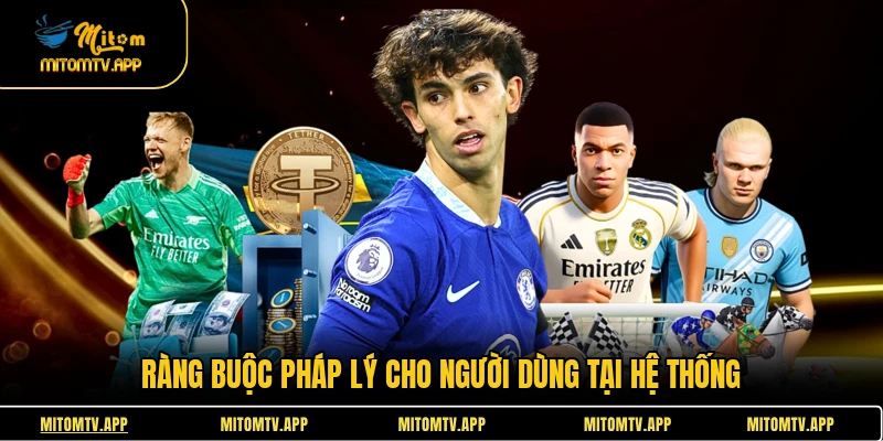 Ràng buộc pháp lý cho người dùng tại hệ thống