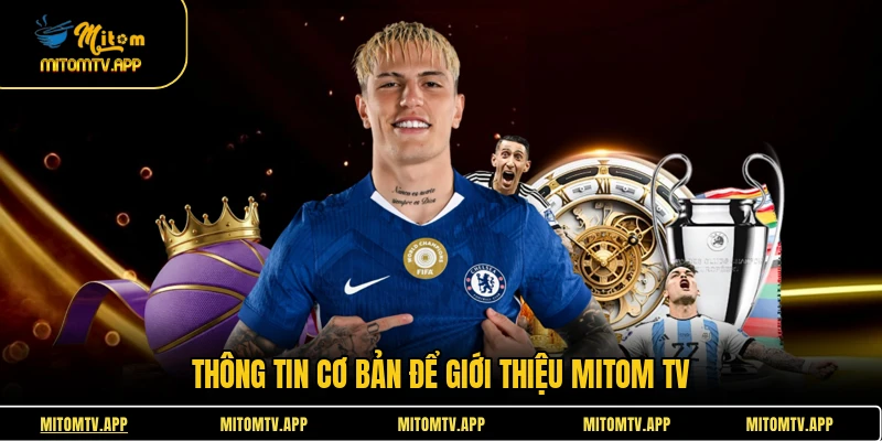 Thông tin cơ bản để giới thiệu Mitom TV
